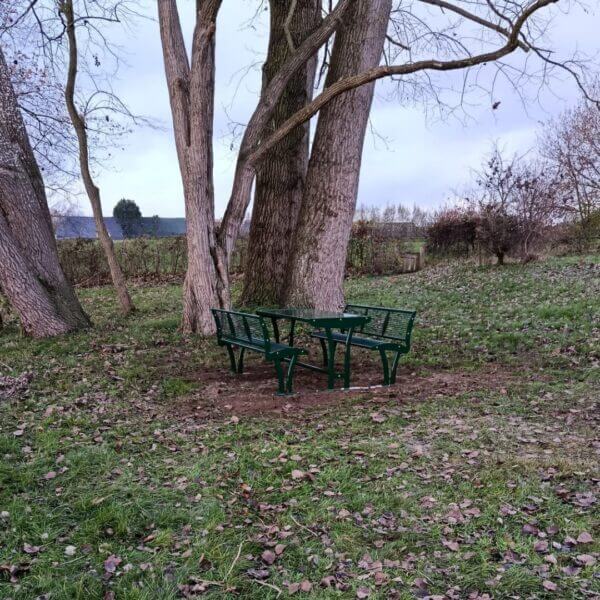 Picknickset kopen voor parken Mosgroene Tauri picknicktafel met rugleuningen in RAL 6005, geplaatst in een bosrijke omgeving in Wilp.